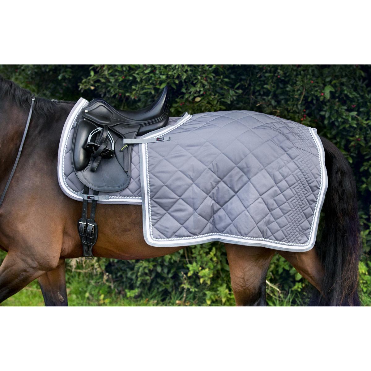 product/c/a/catago_47070718_2.jpg