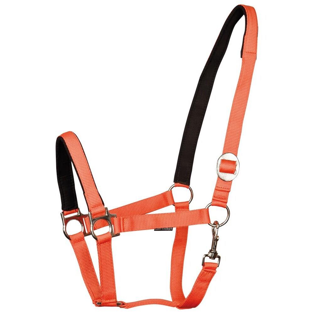 product/h/a/harry-s-horse_31000910-18.jpg