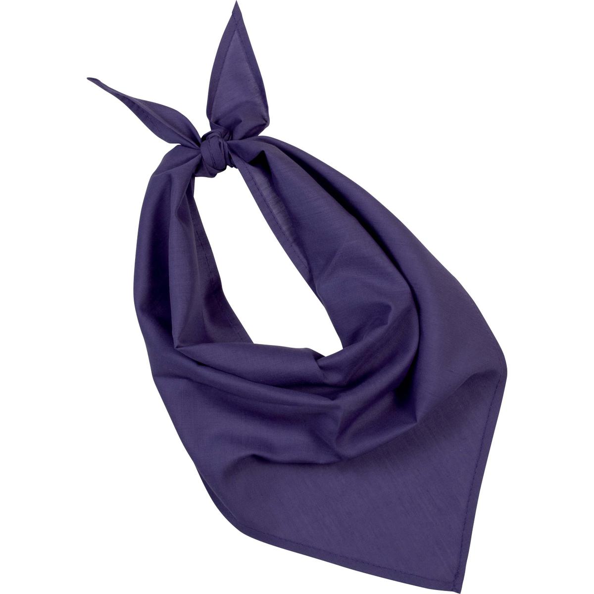 product/p/s/ps_kp064_purple.jpg