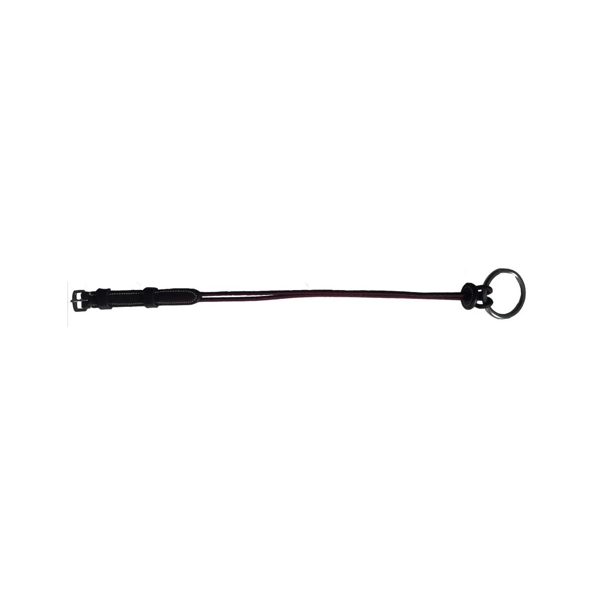 product/s/i/silver-crown_mon12creleveur_conker_1.jpg