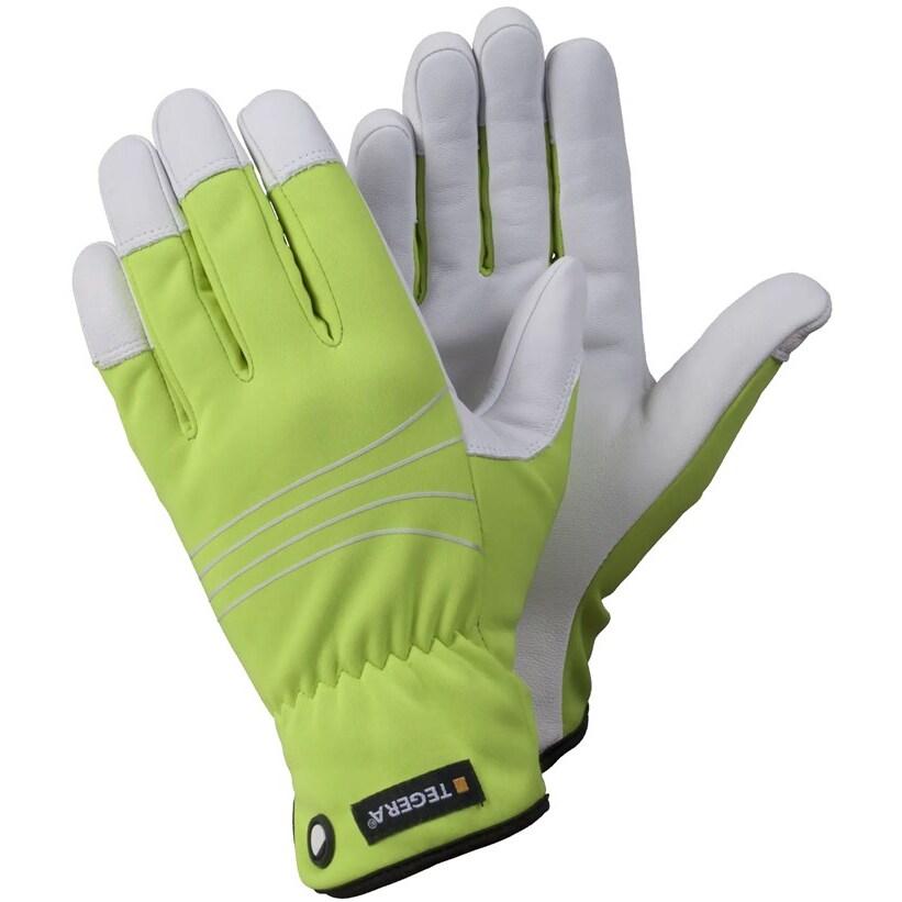 product/t/e/tegera_290_vert_1.jpg