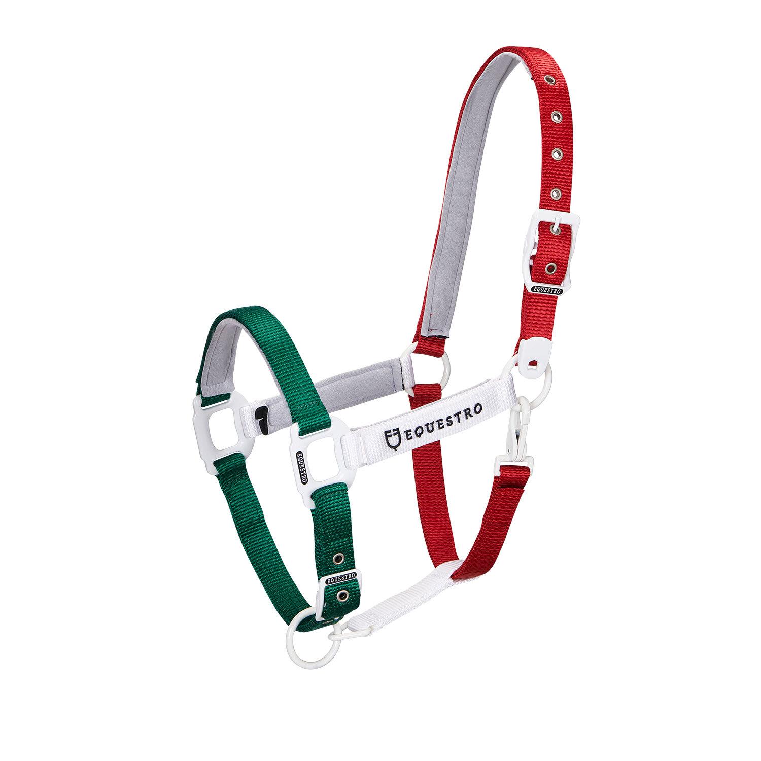product/e/q/equestro_ca00512-green_white_red_green-white-red_1.jpg