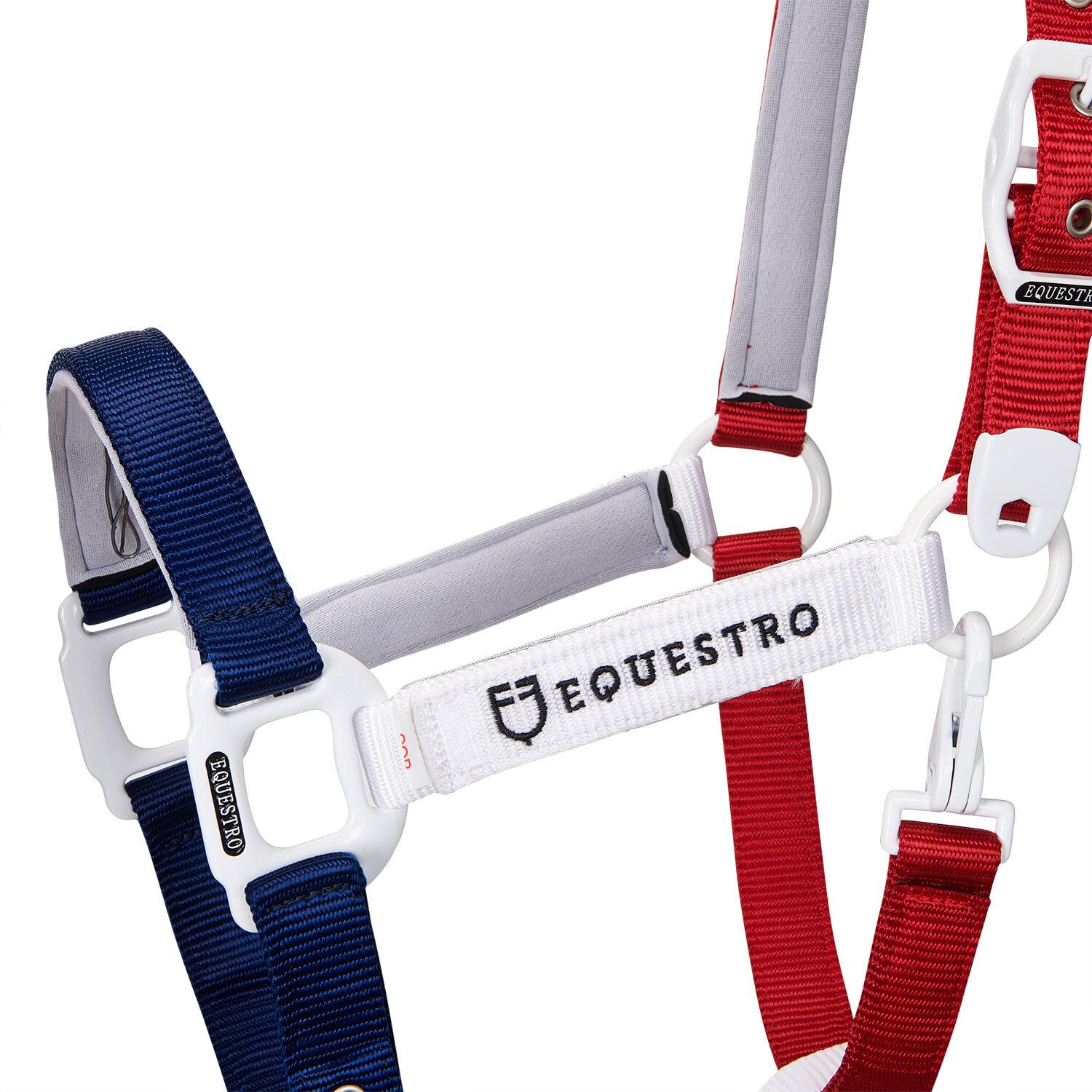 product/e/q/equestro_ca00512-navy_white_red_navy-white-red_2.jpg