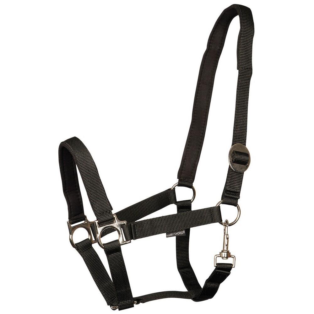 product/h/a/harry-s-horse_31000910-05.jpg