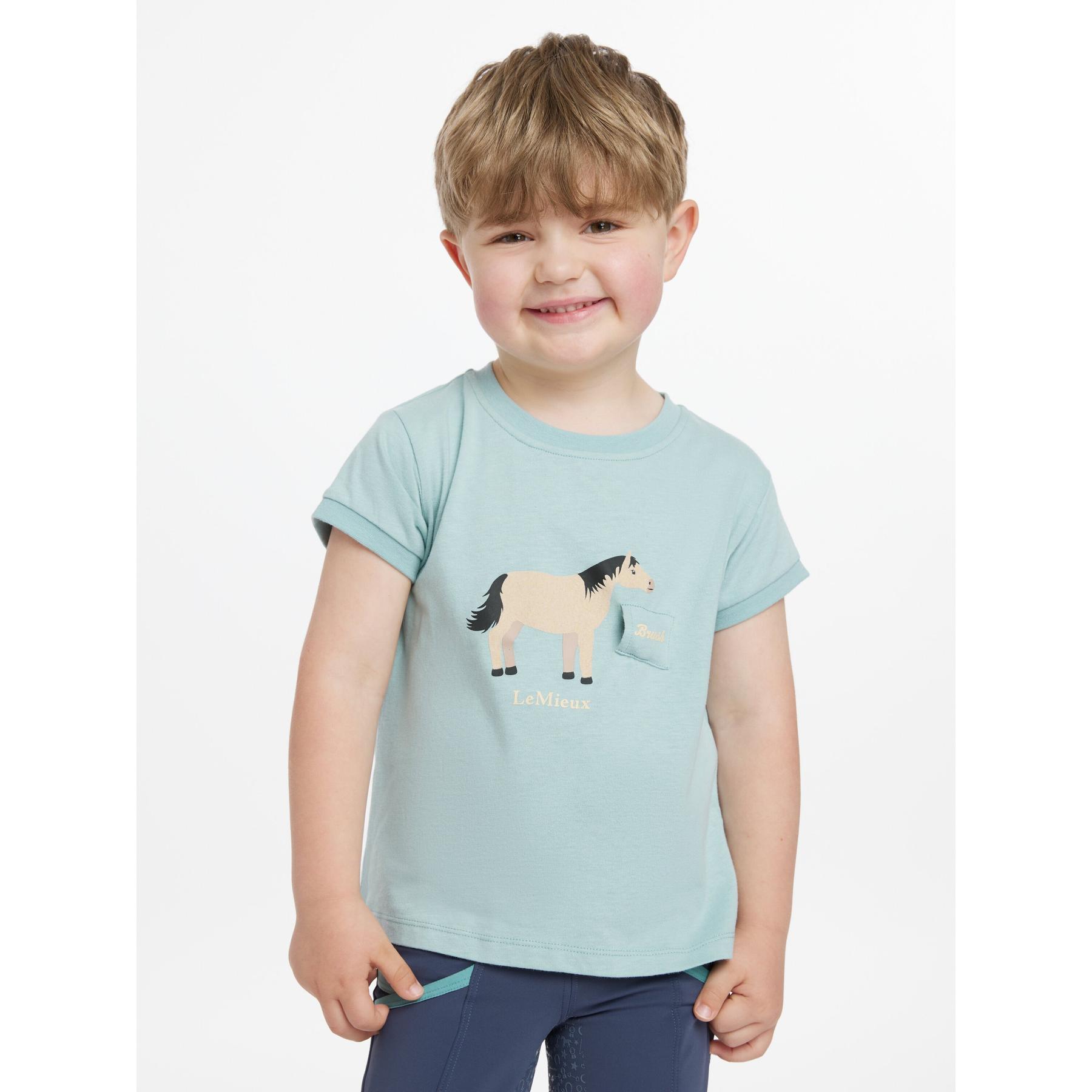 product/l/e/lemieux_it06118113_aqua_5.jpg