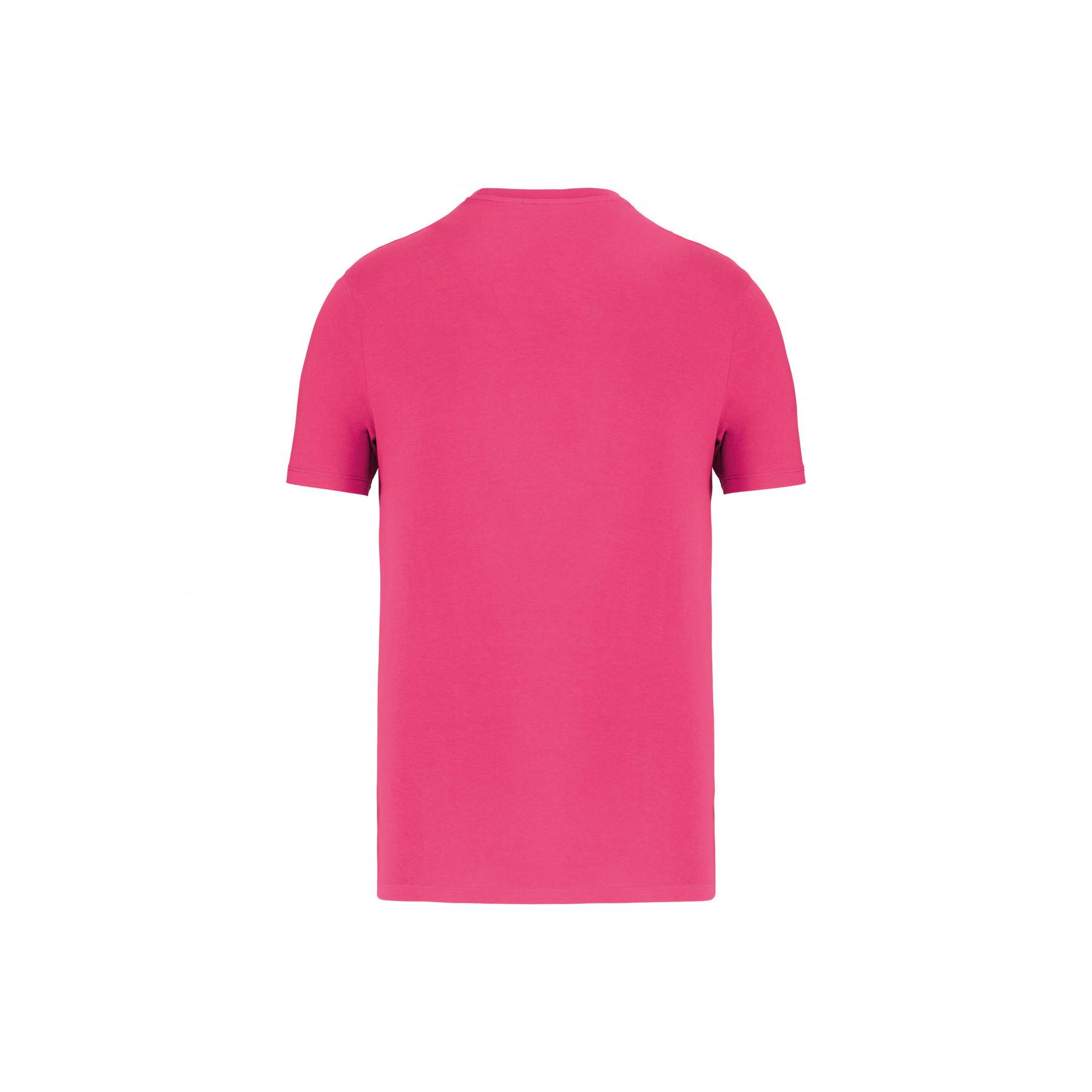product/n/a/native-spirit_ns300-raspberrysorbet_1.jpg