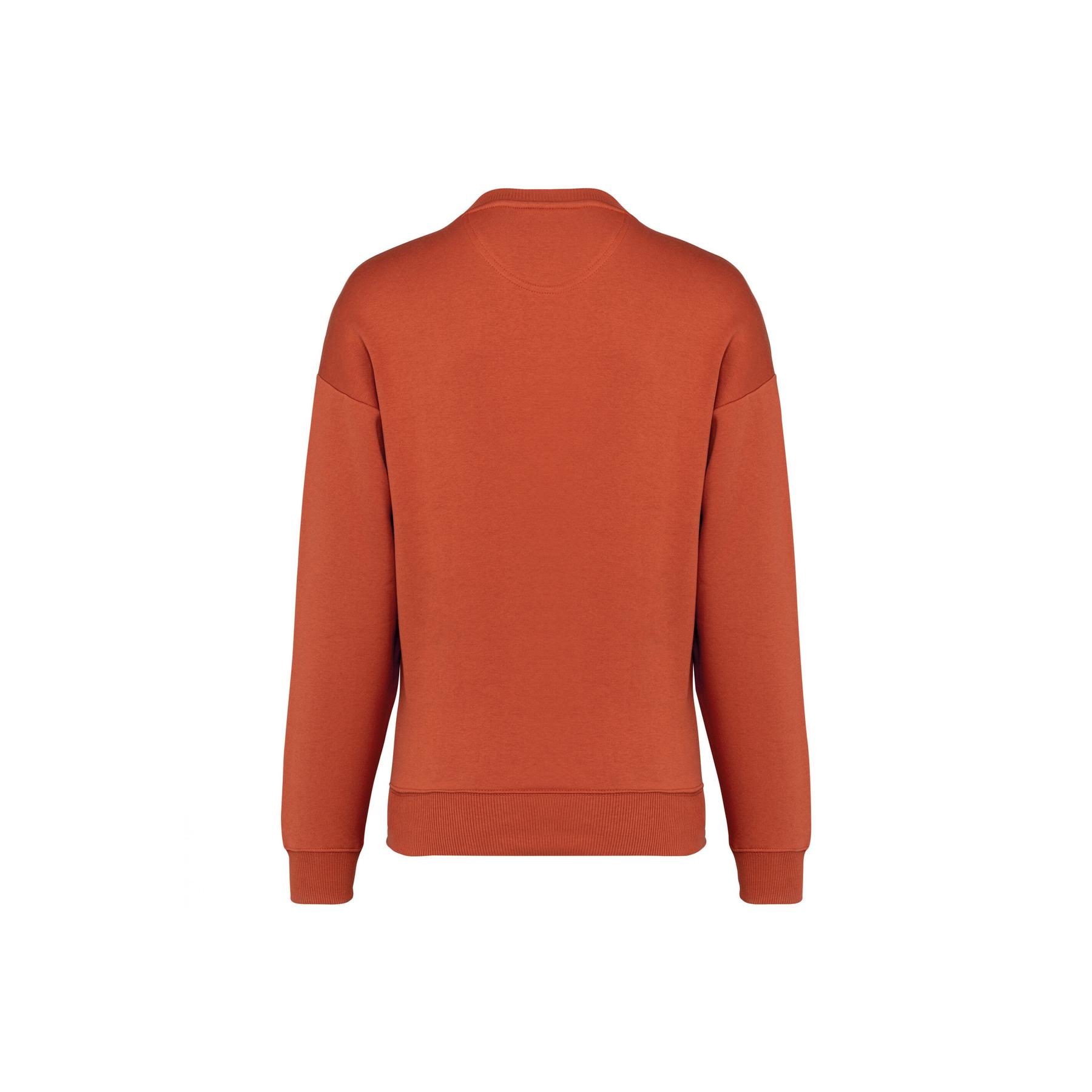 product/n/a/native-spirit_ns407-burntbrick_1.jpg