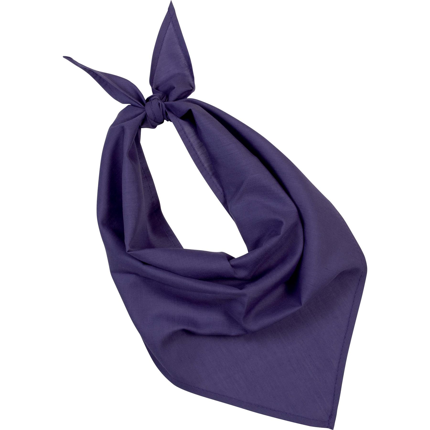 product/p/s/ps_kp064_purple.jpg