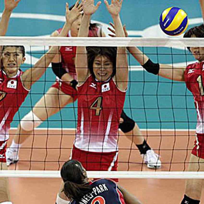 product/v/n/vn003_volleyball3.jpg