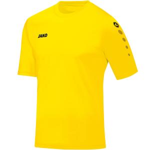 4233-u-03-jersey-jako-team-yellow-lemon