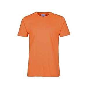 product/C/S/CS1001-BURNEDORANGE.jpg