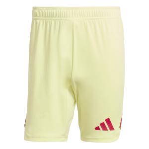 jg1126-goalkeeper-shorts-with-big-logo-adidas-tiro-25-pro-pulyel