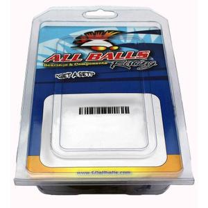product/a/l/all-balls-racing_1109039_0.jpg