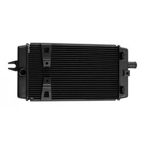 ra5065-motorcycle-radiator-brazoline-triumph-thruxton-1200-r-2017-2018-black-one-size