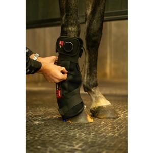 product/c/a/catago_59000001_black_10.jpg