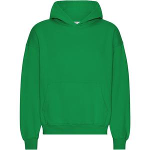 cs1015-kellygreen-oversized-hooded-sweatshirt-colorful-standard-organic-kelly-green-kelly-green