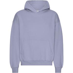 cs1015-purplejade-oversized-hooded-sweatshirt-colorful-standard-organic-purple-jade-purple-jade