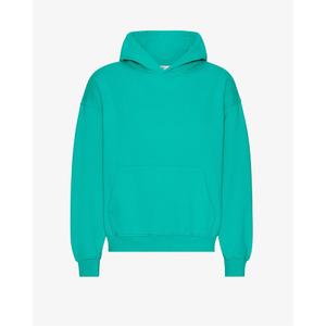 cs1015-tropicalsea-oversized-hooded-sweatshirt-colorful-standard-tropical-sea-tropical-sea