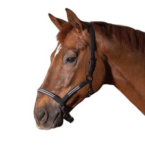 28500007-zwart-leather-halter-for-horses-harry-s-horse-flash-zwart