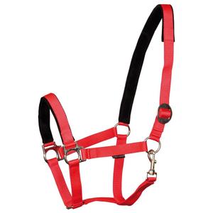 31000910-rood-padded-horse-halter-harry-s-horse-rood