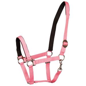 31000910-roze-padded-horse-halter-harry-s-horse-roze