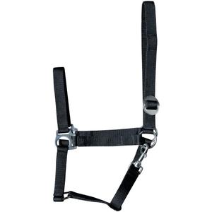 31000925-zwart-halter-for-horse-harry-s-horse-economy-zwart