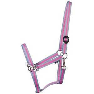 31000925-lichtblauw-roze-lichtblauw-halter-for-horse-harry-s-horse-economy-lichtblauw-roze-lichtblauw