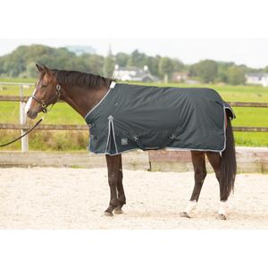 product/h/a/harry-s-horse_32200686-42_2_2.jpg
