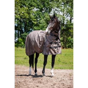 505840589-neck-rug-horseguard-600d-100g-falcon