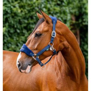 dhham0-b000-co-fur-halter-for-horse-horseware-signature-navy