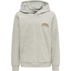 215861-2010-child-hoodie-hummel-fast-light-grey