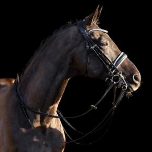 1201093503-9548-bridles-hv-polo-legacy-deluxe-black-white