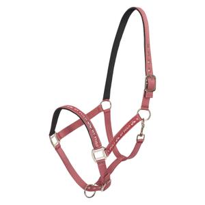 1601093600-3164-nylon-horse-halter-hv-polo-nena-blush