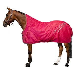 de50314003-3000-outdoor-horse-blanket-imperial-riding-super-dry-100-g-red