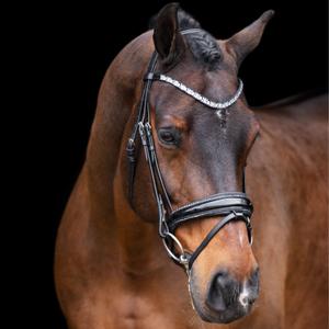 ho40323005-9545-bridles-imperial-riding-olympia-black-silver