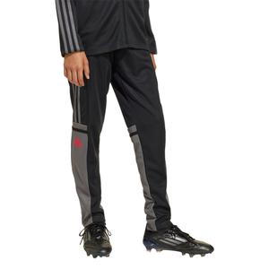 jd1628-children-s-training-trousers-adidas-squadra25-black-tegrfo-purrub