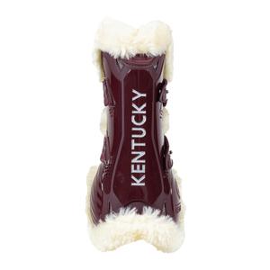 product/k/e/kentucky_88102-17-m_3.jpg