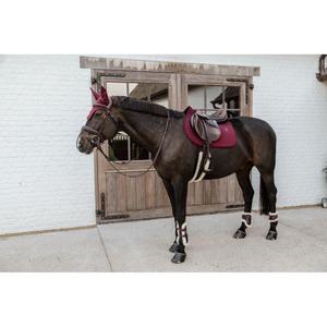 product/k/e/kentucky_88102-17-m_5.jpg