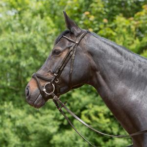 3127-6083-riding-bridle-noseband-kieffer-ultrasoftr-tara-brown-brown-lined