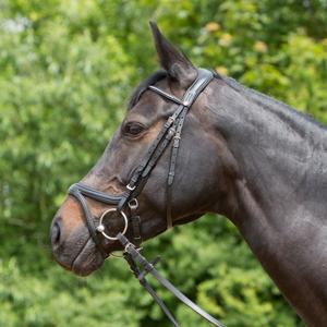 3127-6083-riding-bridle-noseband-kieffer-ultrasoftr-tara-black-black-lined