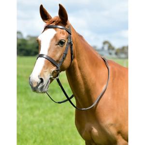 1025203001-hunting-bridle-with-reins-kincade-classic-black