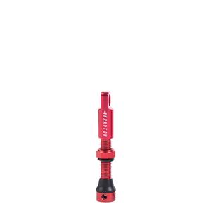 v01-002-40rj-box10u-tubeless-tire-valve-krayton-x10-red