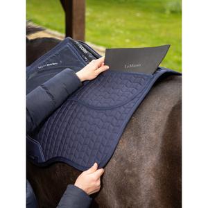product/l/e/lemieux_it04897005_1.jpg