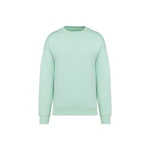 ns407-brookgreen-eco-friendly-oversized-crewneck-sweatshirt-native-spirit-brookgreen