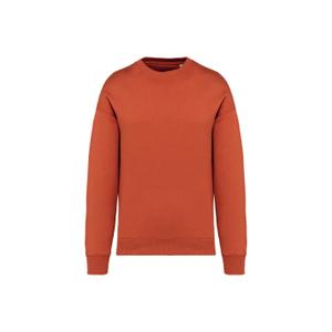ns407-burntbrick-eco-friendly-oversized-crewneck-sweatshirt-native-spirit-burntbrick