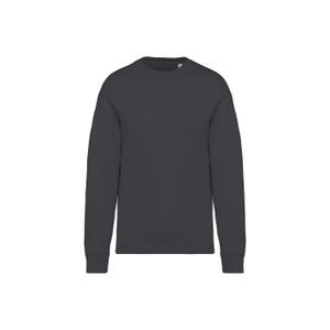 ns407-irongrey-eco-friendly-oversized-crewneck-sweatshirt-native-spirit-irongrey