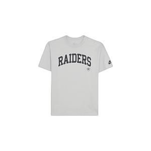 01ay-09d-8dv-np1-loose-fit-t-shirt-las-vegas-raiders-medium-silver