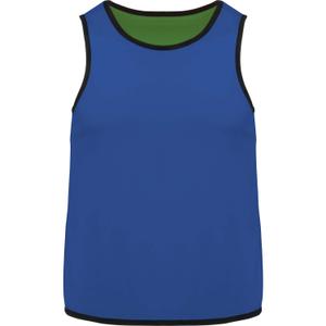 pa046-sportyroyalblue-green-children-s-training-bib-proact-reversible-blue-green