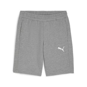 658608-33-short-puma-teamgoal-gray