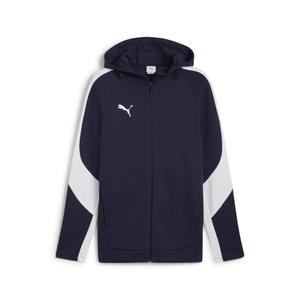 659947-06-hooded-sweatshirt-puma-team-evostripe-blue